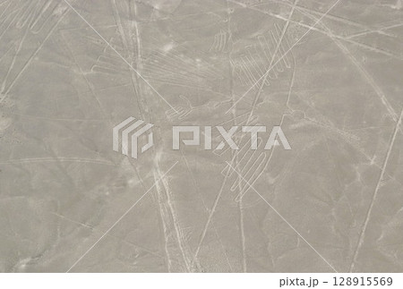 ナスカの地上絵　コンドル　世界遺産　ペルー 128915569