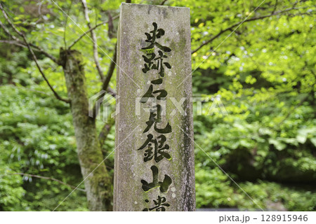 世界文化遺産　石見銀山の龍源寺間歩 128915946