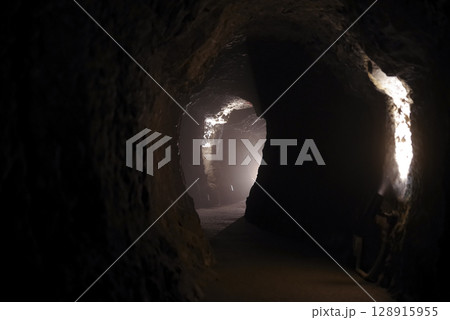 世界文化遺産　石見銀山の龍源寺間歩 128915955