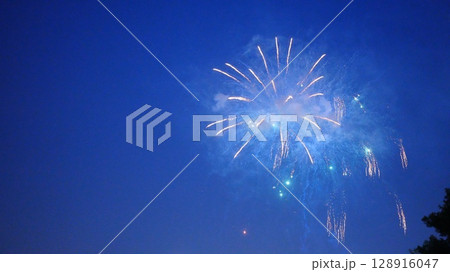 夏の夜空に咲く大輪の花は隅田川花火大会2025 夏の夜空に咲く大輪の花は隅田川花火大会2025 128916047
