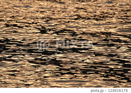 輝く水面 128916178