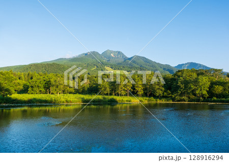 いもり池と妙高山（夏） 128916294