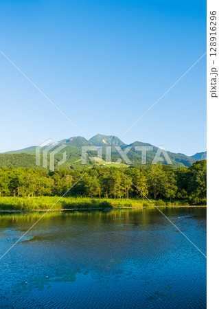 いもり池と妙高山（夏） 128916296
