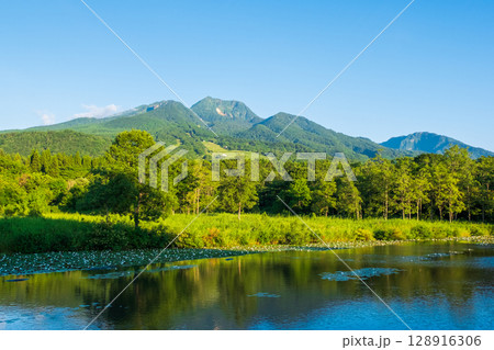 いもり池と妙高山(夏) いもり池と妙高山(夏) 128916306