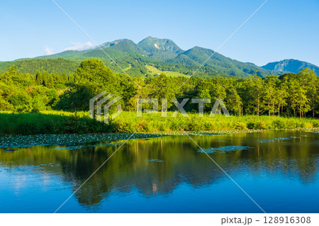 いもり池と妙高山(夏) いもり池と妙高山(夏) 128916308