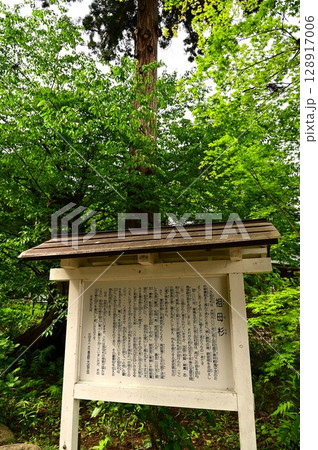 神仏習合の名残り円万寺観音堂と八坂神社 128917006