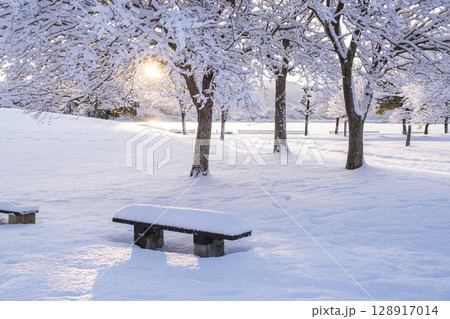 公園の新雪に朝日が差し込む風景 128917014