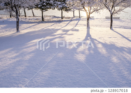 公園の新雪に朝日が差し込む風景 128917018