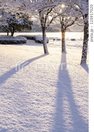 公園の新雪に朝日が差し込む風景 128917020