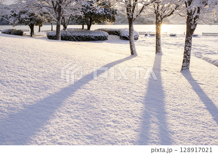 公園の新雪に朝日が差し込む風景 128917021