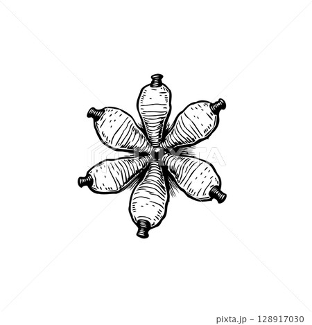 A Hand-Drawn Illustration: Arrangement of Bottle Gourds in a Floral, Symmetrical Design A Hand-Drawn Illustration: Arrangement of Bottle Gourds in a Floral, Symmetrical Design 128917030