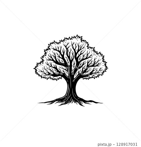 Detailed Black and White Vector Illustration of a Tree with Prominent Branches Detailed Black and White Vector Illustration of a Tree with Prominent Branches 128917031