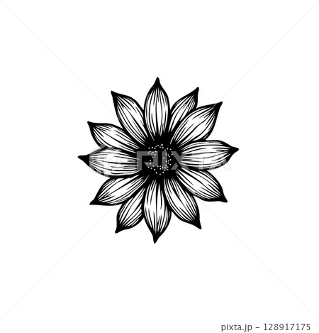 Elegant botanical vector illustration of a flower with intricate line work 128917175