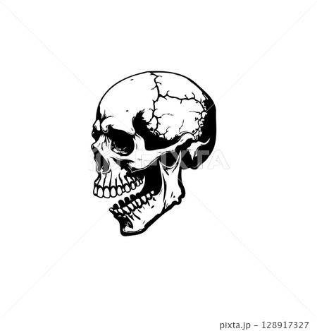Skull illustration in black and white with high detail, perfect for dark themes 128917327