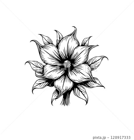 Elegant botanical illustration: Detailed line art of a blooming flower and foliage 128917333