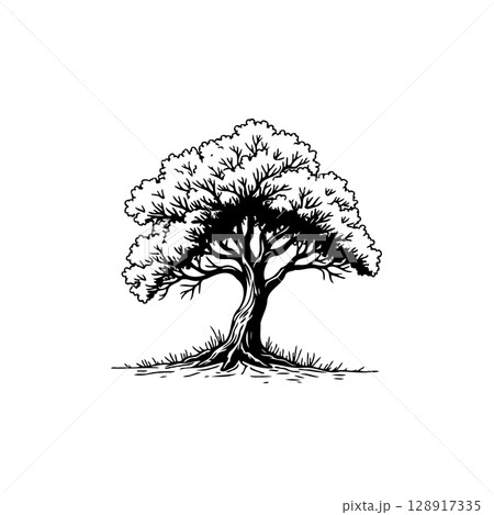 Elegant solitary tree illustration on a white background providing a timeless emblem 128917335