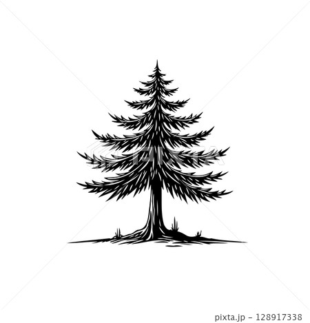 Elegant evergreen pine tree illustration in detailed black and white vector format Elegant evergreen pine tree illustration in detailed black and white vector format 128917338