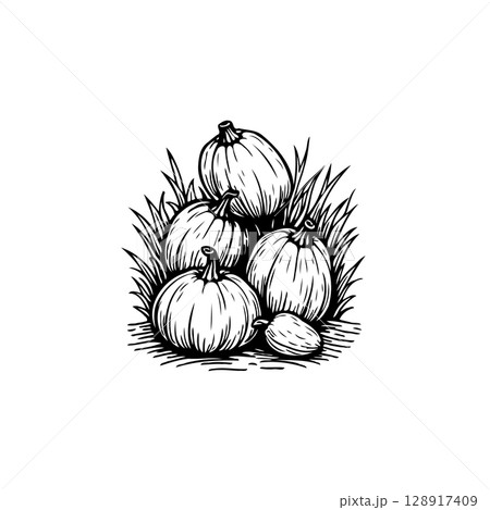 Charming hand-drawn illustration featuring a cluster of pumpkins nestled in foliage 128917409