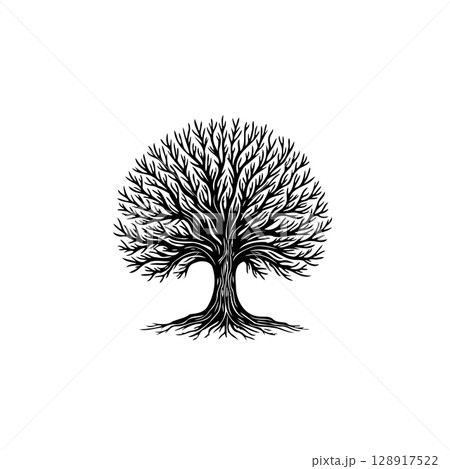 Detailed Black and White Tree Illustration Emphasizing Root System and Branch Structure 128917522