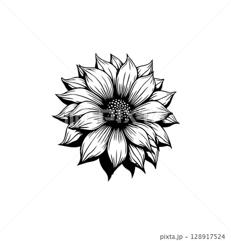 Elegant Sunflower Graphic Art: Detailed Monochrome Illustration of a Blooming Flower 128917524