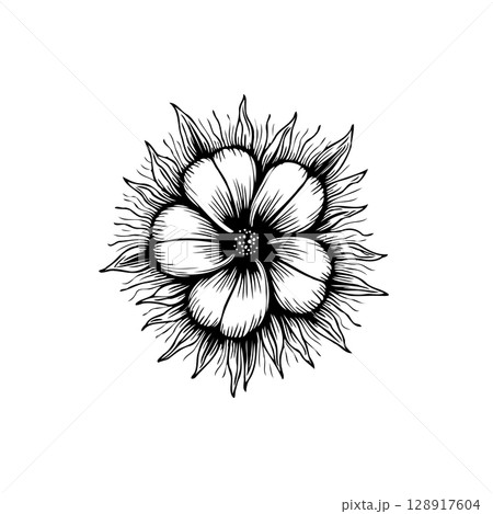 Elegant black and white floral drawing displaying a stylized flower illustration Elegant black and white floral drawing displaying a stylized flower illustration 128917604