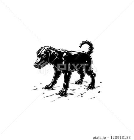Black and white vector illustration of a labrador retriever puppy walking Black and white vector illustration of a labrador retriever puppy walking 128918188