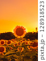 himawari 128918523