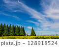 himawari 128918524