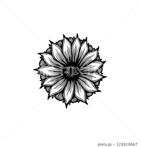 Elegant Detailed Sunflower Illustration in Black and White for Creative Projects 128918667