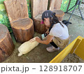 動物園でウサギをなでる少女 128918707