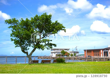 大分県　「かんたん港園」で撮影 128918730