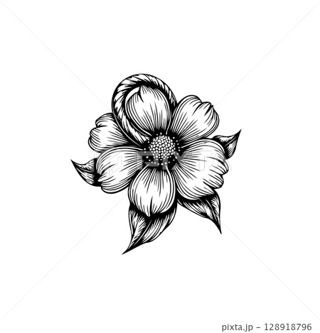 Detailed botanical illustration of a flower blossom with rope element design Detailed botanical illustration of a flower blossom with rope element design 128918796