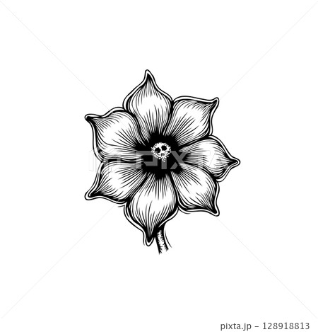 Monochrome floral illustration featuring a skull center creating an artistic contrast 128918813