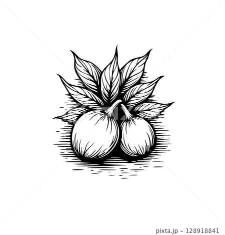 Monochrome Vintage Illustration Featuring Citrus Fruits and Foliage Accentuating Natural Beauty 128918841