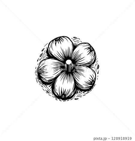 Intricate Hand-Drawn Tropical Fruit Illustration for Artistic Designs and Projects Intricate Hand-Drawn Tropical Fruit Illustration for Artistic Designs and Projects 128918919