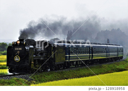 D51形SL(東北DC陸羽東線号) D51形SL(東北DC陸羽東線号) 128918958
