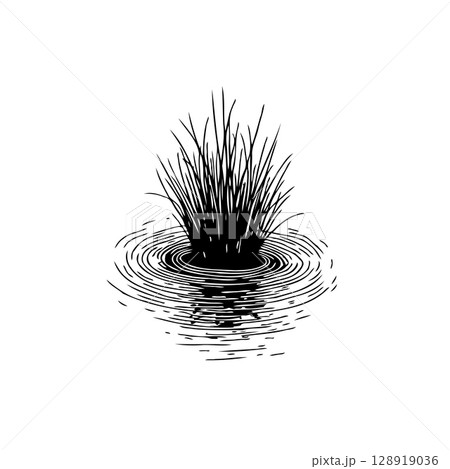 Elegant monochrome drawing depicting tufts of grass emerging from rippled water 128919036