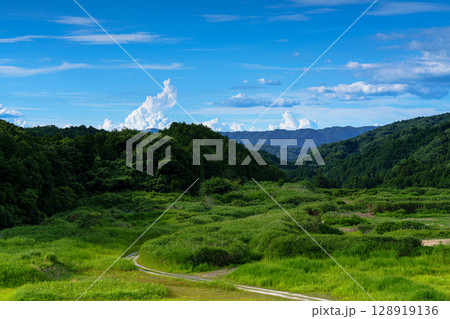 夏空の奈良布目ダム　北の方角に見えたはけで塗ったような薄雲　ダム東側駐車場横広場にて③ 128919136