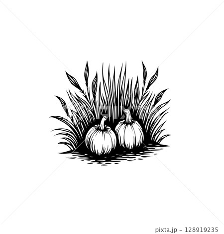Elegant Autumnal Scene: Hand-Drawn Pumpkins Amidst Tall Grass Illustration Elegant Autumnal Scene: Hand-Drawn Pumpkins Amidst Tall Grass Illustration 128919235
