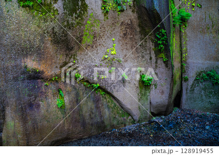 由布川渓谷【大分県由布市】 由布川渓谷【大分県由布市】 128919455