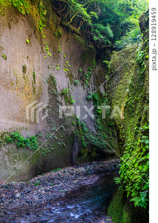 由布川渓谷【大分県由布市】 由布川渓谷【大分県由布市】 128919459
