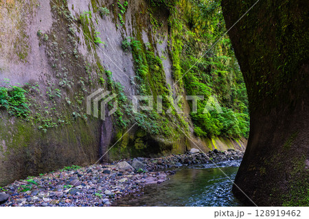 由布川渓谷【大分県由布市】 由布川渓谷【大分県由布市】 128919462