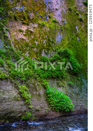 由布川渓谷【大分県由布市】 由布川渓谷【大分県由布市】 128919473