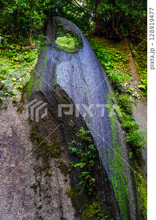 由布川渓谷【大分県由布市】 由布川渓谷【大分県由布市】 128919477