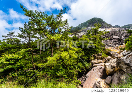伽藍岳噴火口跡【大分県由布市】 128919949