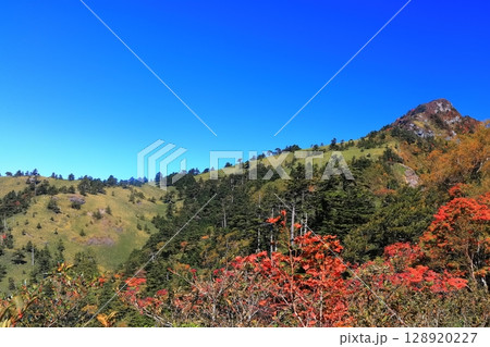 【愛媛県】紅葉した秋の瓶ヶ森（石鎚山） 128920227
