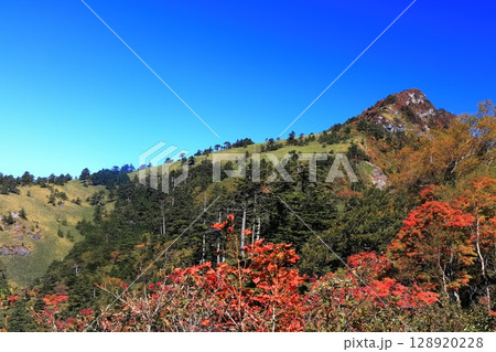 【愛媛県】紅葉した秋の瓶ヶ森(石鎚山) 【愛媛県】紅葉した秋の瓶ヶ森(石鎚山) 128920228