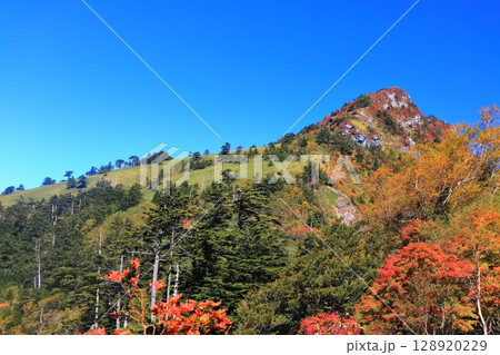 【愛媛県】紅葉した秋の瓶ヶ森(石鎚山) 【愛媛県】紅葉した秋の瓶ヶ森(石鎚山) 128920229