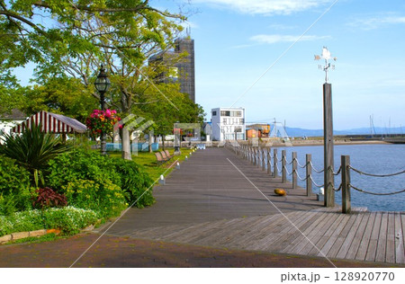 大分県 「かんたん港園」で撮影 大分県 「かんたん港園」で撮影 128920770