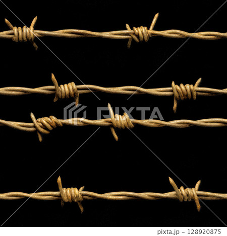 シームレスな有刺鉄線の背景素材 シームレスな有刺鉄線の背景素材 128920875